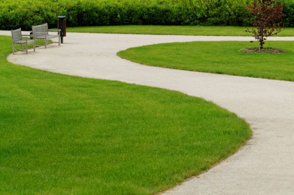Cost of Concrete Walkway Installation in Wylie