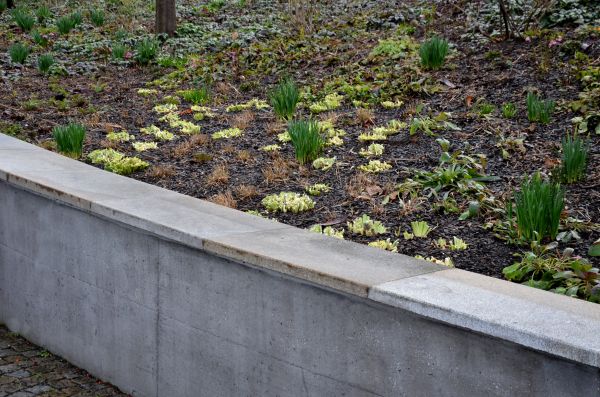 Cost of Concrete Wall Construction in Wylie