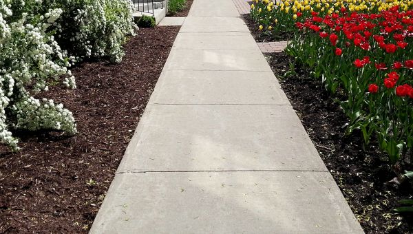 Cost of Sidewalk Slab Replacement in Wylie