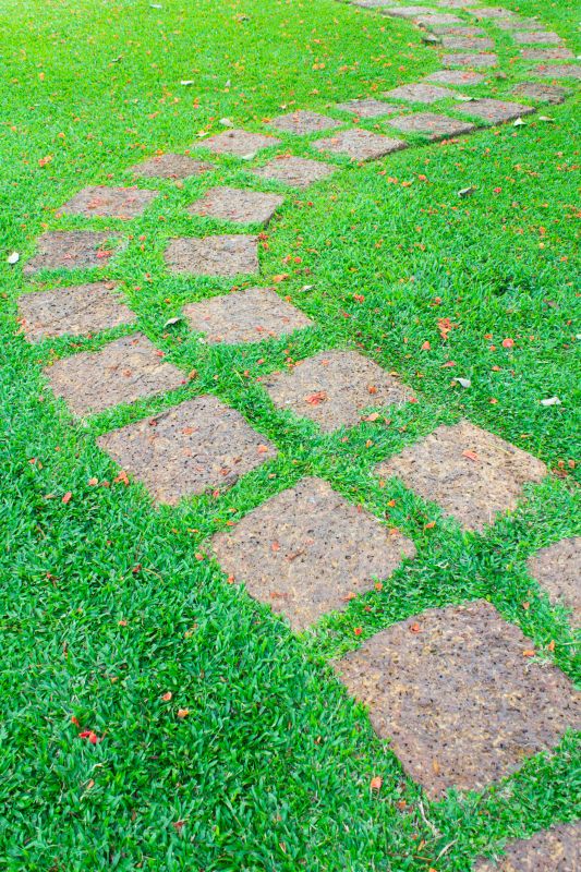 Backyard Pathway Construction